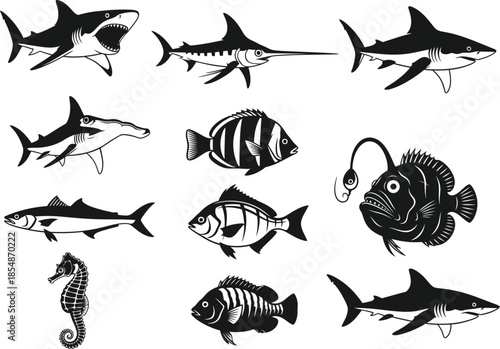 Collection of various fish and sea creatures in black and white illustrations