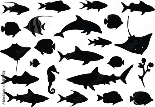 Collection of various ocean fish and sea creatures in silhouette