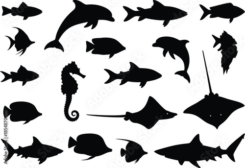 Collection of various ocean fish and sea creatures in silhouette