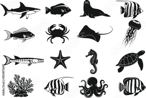 Black and white illustrations of various ocean animals and sea creatures