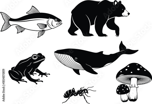 A black and white illustration featuring a collection of different animals and a mushroom. The animals include a bear, a whale, a fish, a frog, and an ant. There are also two mushrooms depicted. The s