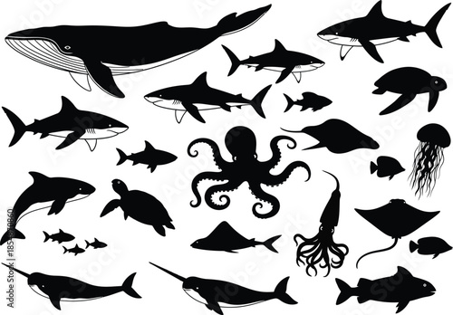 Collection of various ocean sea creatures including whales sharks and octopus in black silhouette on white background