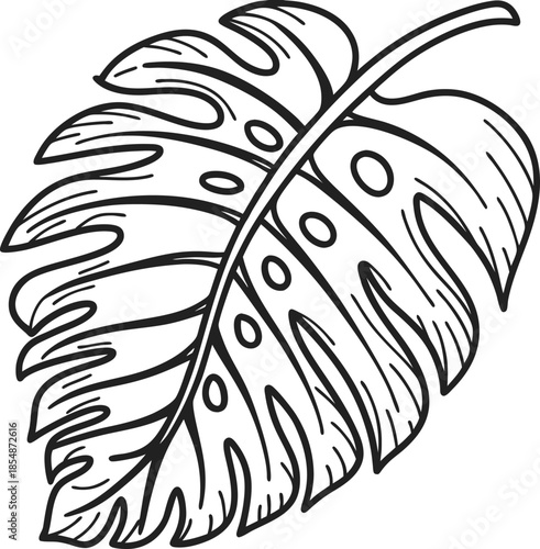 Tropical monstera leaf illustration botanical line art outline, decorative jungle foliage contour for coloring book and design