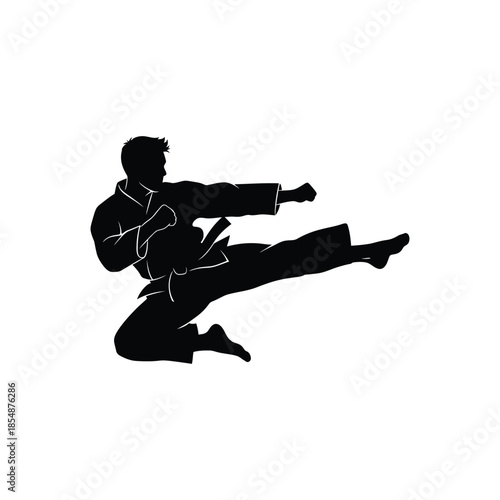Dynamic martial artist executing a powerful side kick pose captured in a striking silhouette