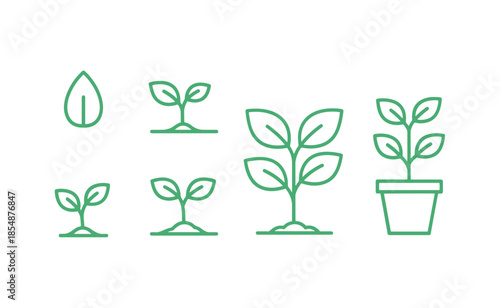 Plant Growth Stages Illustration Green.