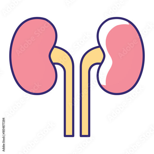 Kidney Organ Vector Icon which can easily modify or edit