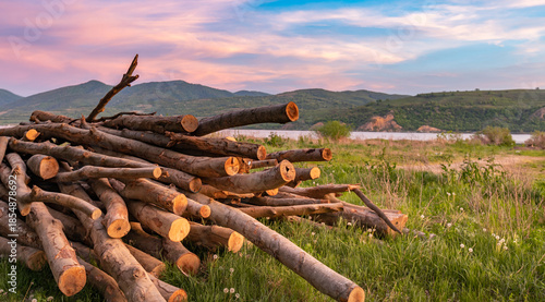 Pile of logs is on the grass next to a body of water
