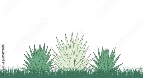 A minimalist illustration of several agave or aloe vera plants growing in a patch of grass against a clean white background.