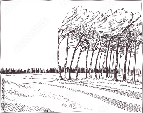 Black and white ink of wind swept trees along a country path