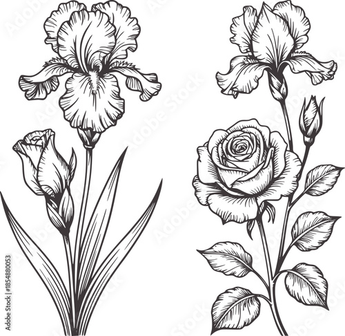 Black and white line of iris flowers and roses with buds