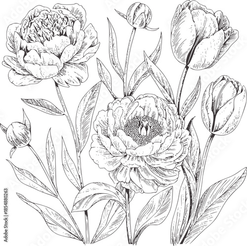 Monochrome hand drawn peony and tulip botanical flowers