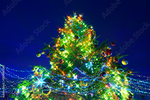 公園のクリスマスイルミネーション