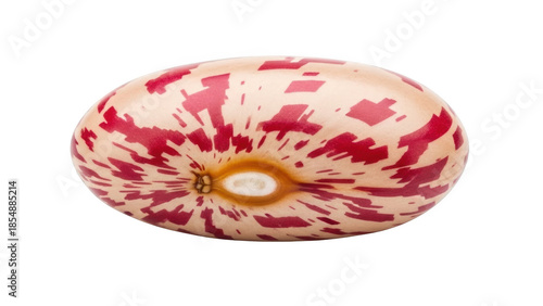 Single speckled kidney bean with red and white patterns