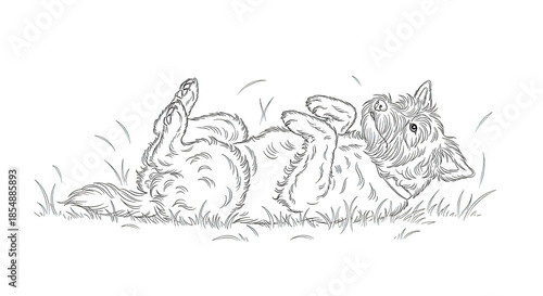White line drawing of a playful dog rolling in grass