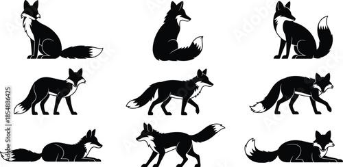 Collection of black and white fox silhouettes in various poses animal wildlife vector