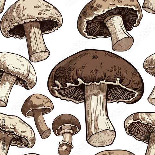 Isolated a kinds of different realistic Hand drawn vector ink style decorative illustration of champignon mushrooms vector art with white background.