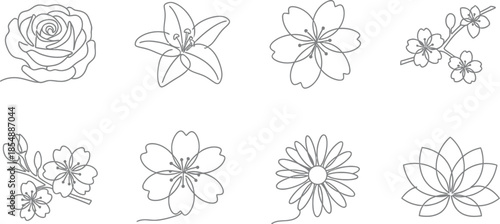 Collection of eight black and white floral line drawings