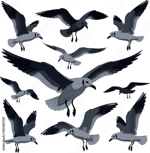 Isolated a kinds of different realistic Set of flying seagull silhouettes vector art with white background.