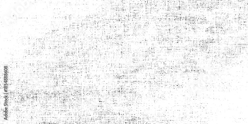 A grepsny monochrome texture dominates the image appearing as a highly contrasted speckled pattern throughout the frame