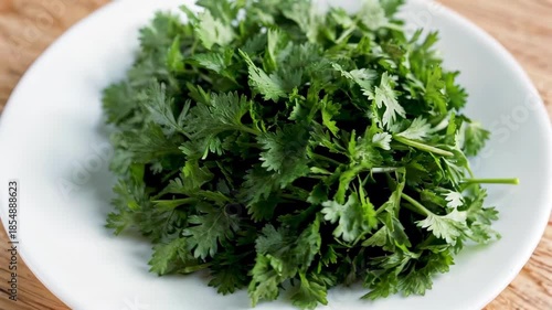 Fresh coriander in white plate Close up of fresh coriander
