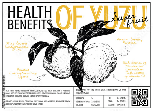 Health benefits of yuzu fruit infographic. Detailed Infographic for Healthy Eating and Wellness. Vector banner template.