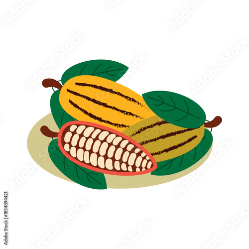 Multicolored cocoa beans with green leaves sit on a flat plate. They are a source of energy and endorphins, a stress reliever. Vector illustration isolated on a white background.