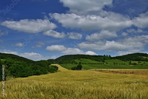 Sommerlandschaft im Burgenland, Österreich