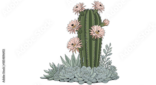 Beautiful botanical illustration of a tall blooming cactus with delicate pink flowers, surrounded by a variety of green succulents.