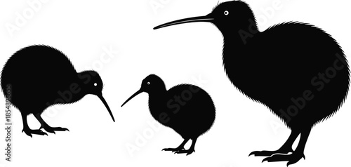 New Zealand Kiwi flightless bird silhouette vector icon set, showcasing adult and baby chicks with long beaks, representing wildlife, nature, ecology, and conservation, isolated on white background.