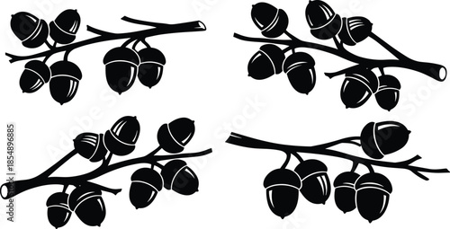 Oak branch silhouette, acorn vector icon, botanical illustration, black nature graphic, forest element, tree fruit design, minimal leaf style