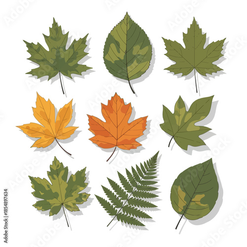 Collection of diverse autumn leaves featuring vibrant colors and varied leaf shapes for