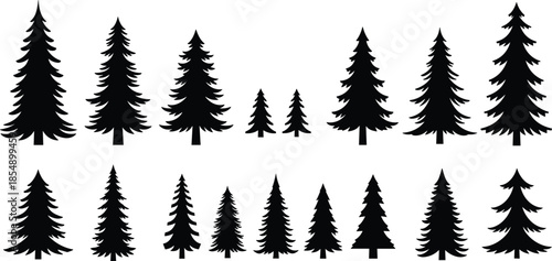 Pine tree silhouettes, conifer shapes, black vector trees, forest clipart, nature icons, evergreen design, tree art, botanical illustration, landscape element, tree collection