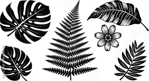 Black vector silhouettes set of six different tropical plants, including Monstera, palm, and fern leaves, perfect for exotic decoration, nature branding, and rainforest concepts.
