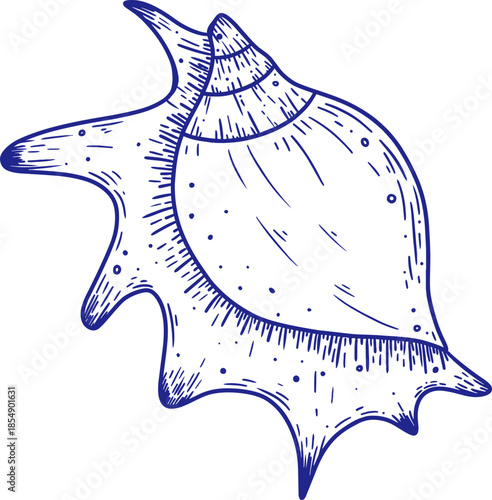 Ocean Seashell Line Art Illustrations, Hand Drawn Shell Collection