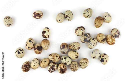 Quail eggs isolated on white background. Natural patterned farm quail eggs.
