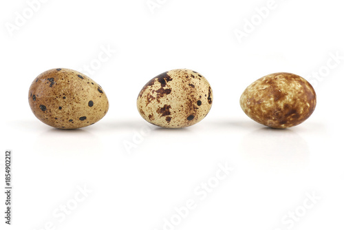 Quail eggs isolated on white background. Natural patterned farm quail eggs.