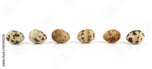Quail eggs isolated on white background. Natural patterned farm quail eggs.