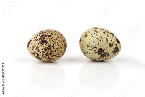 Quail eggs isolated on white background. Natural patterned farm quail eggs.