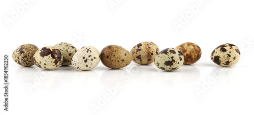 Quail eggs isolated on white background. Natural patterned farm quail eggs.