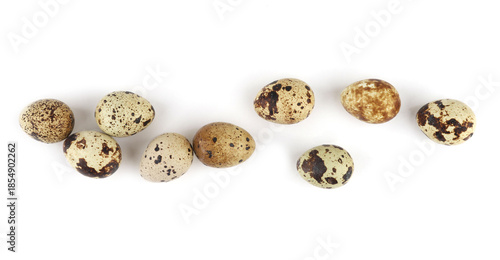 Quail eggs isolated on white background. Natural patterned farm quail eggs.