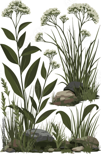 Create a realistic Composition of green plants and blooming ornamental grass and rocks vector art with white background .