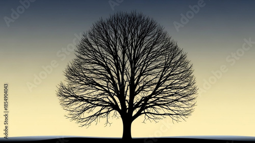 Silhouette of a bare tree against a gradient sky representing winter or dormancy isolated on a dark horizon