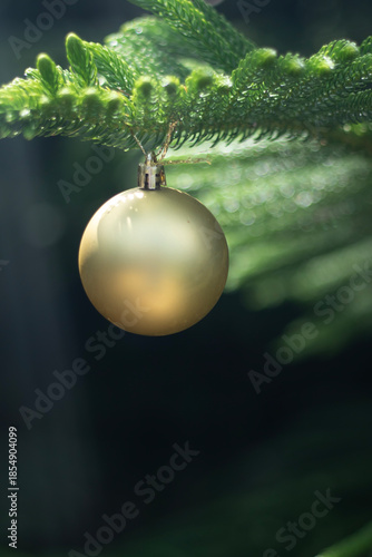 Christmas tree for decorating during the New Year festival