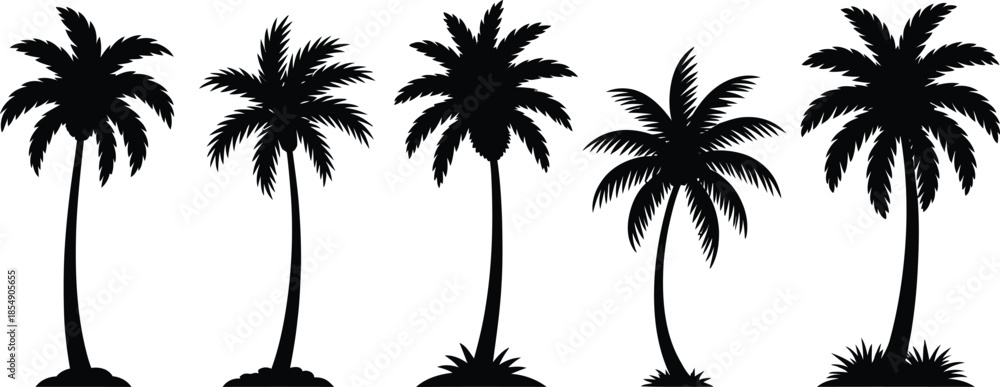 Fototapeta premium Set of tropical palm tree silhouettes isolated on white background