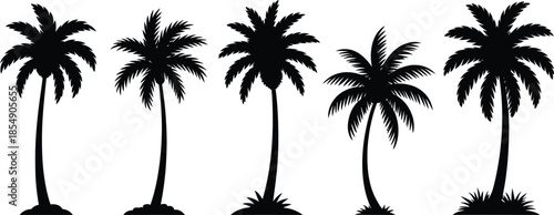 Set of tropical palm tree silhouettes isolated on white background