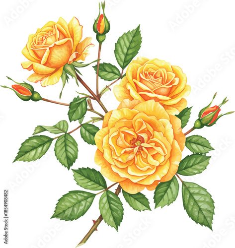 Collection of pink and red flowers with green leaves on white background