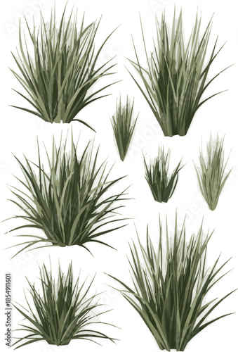 Create a realistic Tufts of ornamental grass with shadows vector art with white background.