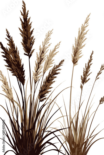 Create a realistic Tufts of ornamental grass with shadows vector art with white background.