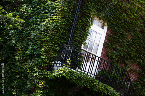 Urban Charm: Ivy-Clad Brick Building With Wrought Iron Balcony Framed By Lush Foliage, Vertical Shot