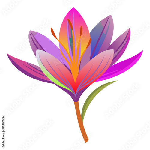 Vibrant colorful flower with purple, pink, and orange petals